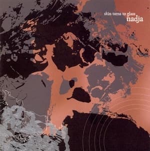 Skin Turns To Glass (2008, The End Records, TE101)