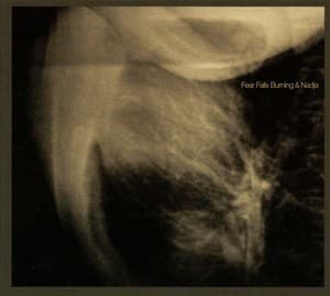 Fear Falls Burning & Nadja