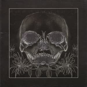 Belles Betes (Beta-Lactam Ring Records, MT170b)