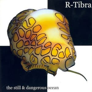 The Still & Dangerous Ocean