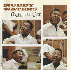 Folk Singer (1999 MCA Records, CHD-12027, USA)