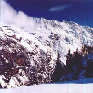 I Am Not A Doctor (Germany, RR 8605-2)