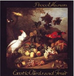 Exotic Birds And Fruit
