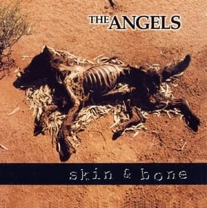 Skin & Bones