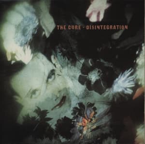 Disintegration