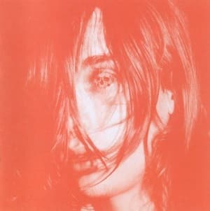 Microcastle / Weird Era Continued (2CD)