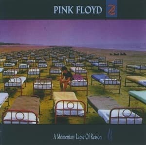 A Momentary Lapse Of Reason