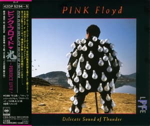 Delicate Sound Of Thunder