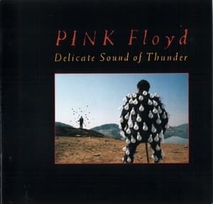 Delicate Sound Of Thunder