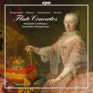Flute Concertos