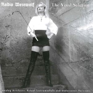 The Vinyl Solution-Analog Artifacts: Ritual Instrumentals And Undercover Versions