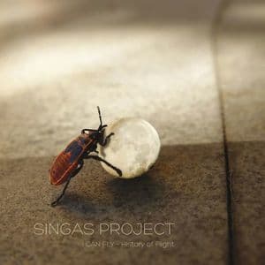 I Can Fly (history Of Flight)