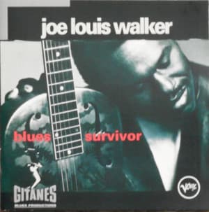 Blues Survivor
