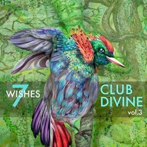 Seven Wishes, Vol. 3