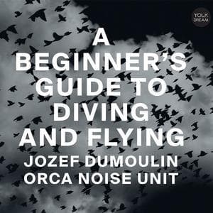 A Beginner's Guide To Diving And Flying