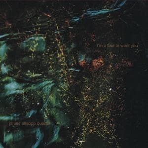 I'm A Fool To Love You