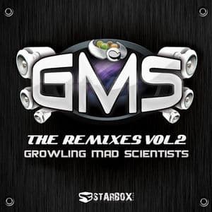 Gms - The Remixes Vol. 2