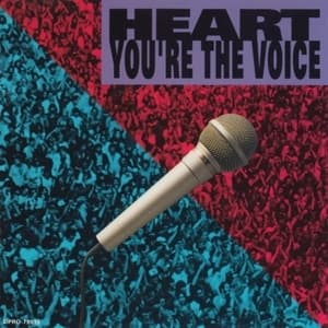 You're The Voice (Promo)