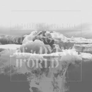 The Bones Of A Dying World