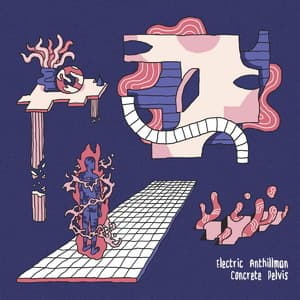 Concrete Pelvis