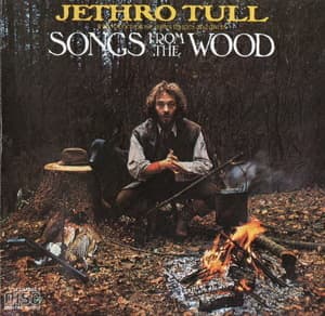 Songs From The Wood 