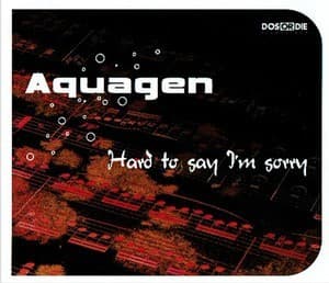 Hard To Say I'm Sorry