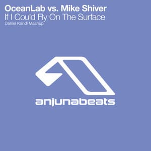 If I Could Fly On The Surface