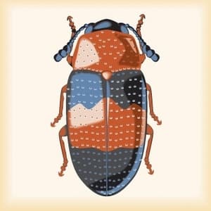 Machine Box  (CD5) Alternates And Remixes