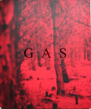 Gas