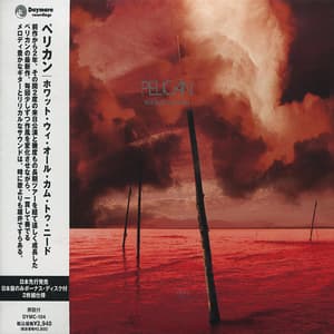 What We All Come To Need 