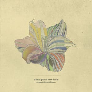 Avenues And Remembrances