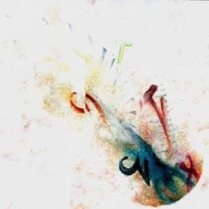 Abbandono Del Tempo E Delle Forme