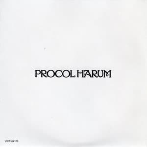 Exotic Birds And Fruit 