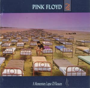 A Momentary Lapse Of Reason