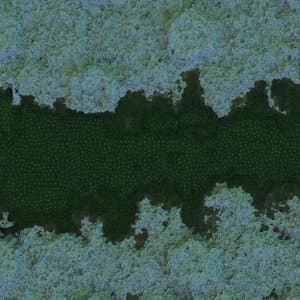 Jupiter [ep] Compost Black Label # 141