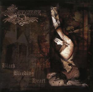 Black Bleeding Heart