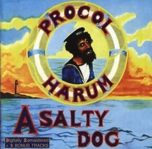 A Salty Dog