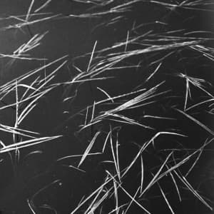 As One More Folded Paper Crane