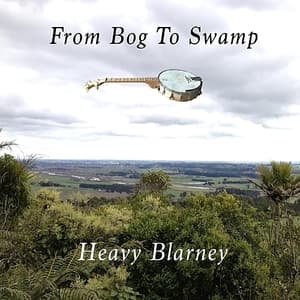 From Bog To Swamp