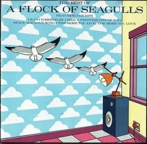 The Best Of A Flock Of Seagulls