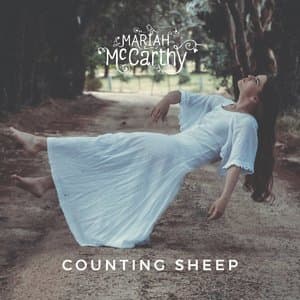 Counting Sheep 