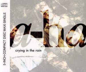 Crying In The Rain