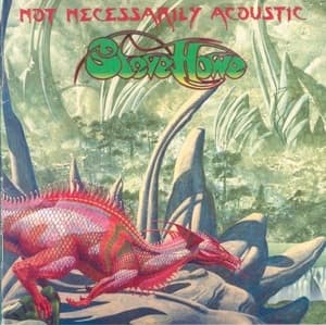 Not Necessarily Acoustic