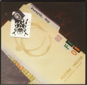 Voices Inside - An Acoustic Record