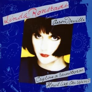 Cry Like A Rainstorm - Howl Like The Wind