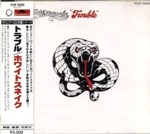 Trouble