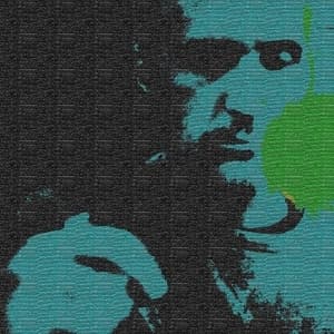 The Canary & The Cage