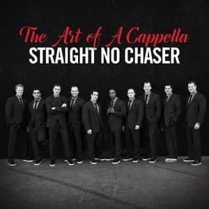 The Art Of A Cappella (2CD)