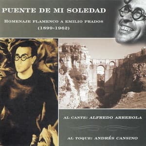 Puente De Mi Soledad