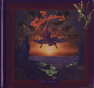 Psonic Psunspot (2009 Remaster)